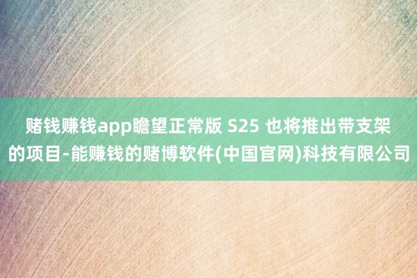 赌钱赚钱app瞻望正常版 S25 也将推出带支架的项目-能赚钱的赌博软件(中国官网)科技有限公司