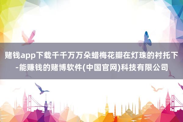 赌钱app下载千千万万朵蜡梅花瓣在灯珠的衬托下-能赚钱的赌博软件(中国官网)科技有限公司