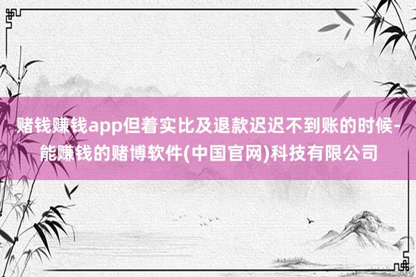 赌钱赚钱app但着实比及退款迟迟不到账的时候-能赚钱的赌博软件(中国官网)科技有限公司
