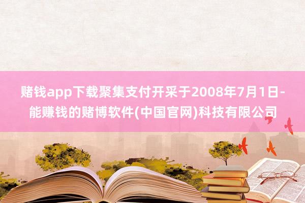 赌钱app下载聚集支付开采于2008年7月1日-能赚钱的赌博软件(中国官网)科技有限公司