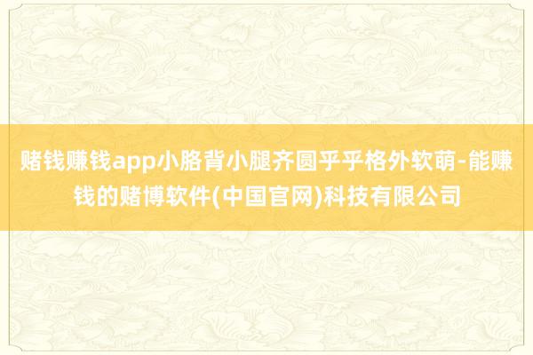 赌钱赚钱app小胳背小腿齐圆乎乎格外软萌-能赚钱的赌博软件(中国官网)科技有限公司