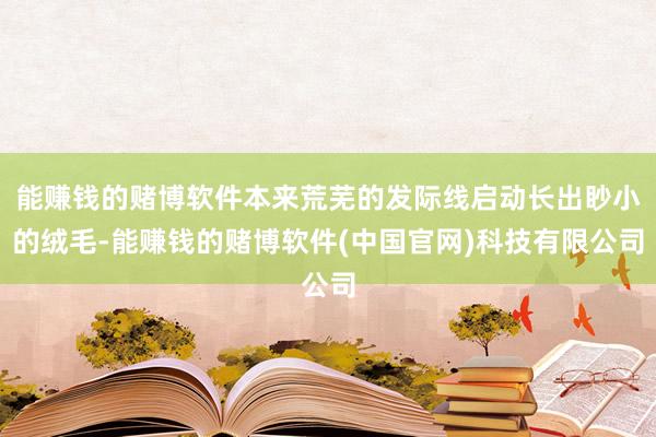 能赚钱的赌博软件本来荒芜的发际线启动长出眇小的绒毛-能赚钱的赌博软件(中国官网)科技有限公司