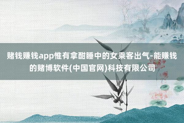 赌钱赚钱app惟有拿酣睡中的女乘客出气-能赚钱的赌博软件(中国官网)科技有限公司