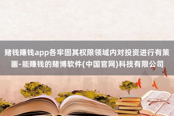 赌钱赚钱app各牢固其权限领域内对投资进行有策画-能赚钱的赌博软件(中国官网)科技有限公司