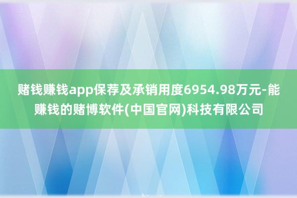 赌钱赚钱app保荐及承销用度6954.98万元-能赚钱的赌博软件(中国官网)科技有限公司