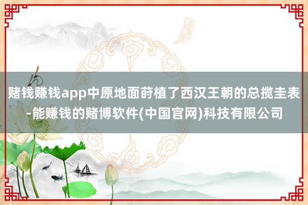 赌钱赚钱app中原地面莳植了西汉王朝的总揽圭表-能赚钱的赌博软件(中国官网)科技有限公司